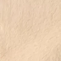 Women's Button Front Faux Fur Jacket