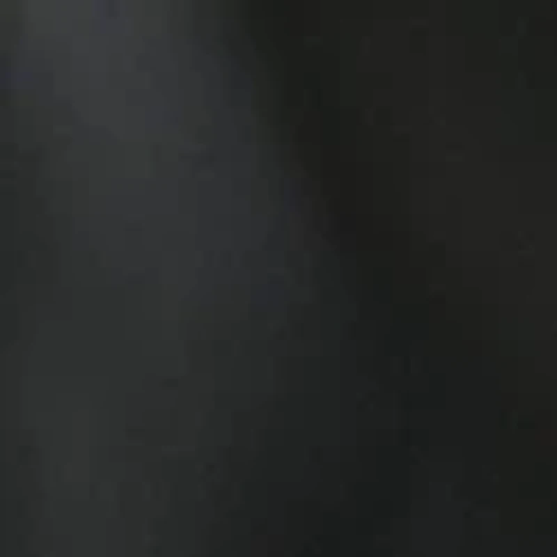 Petite Long Sleeve Mix Media Faux Leather Trim Jacket