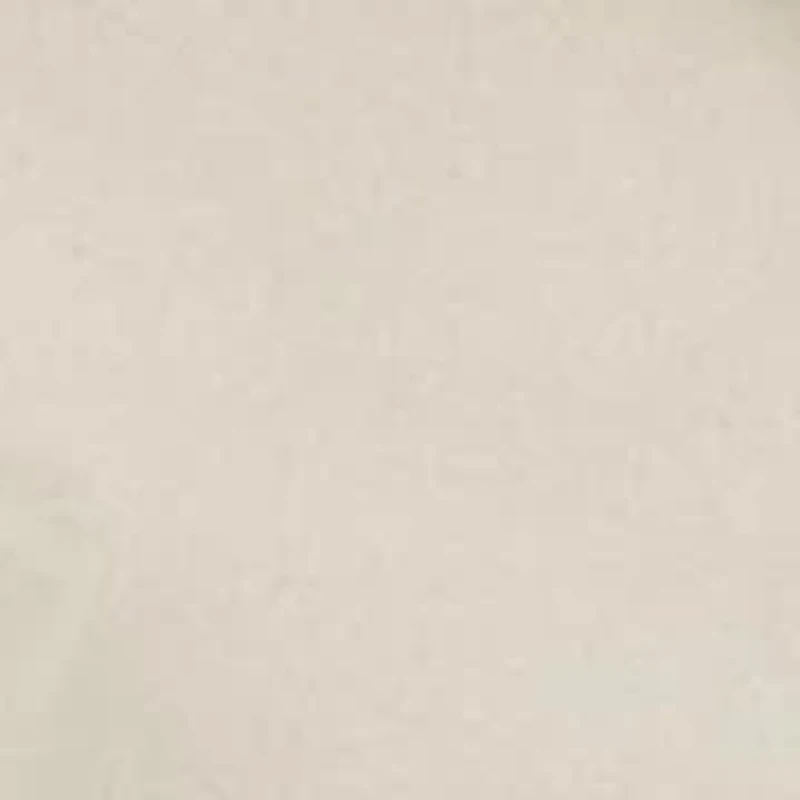 Petite Easy Care Cotton Shirt