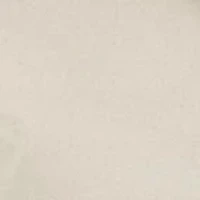 Petite Easy Care Cotton Shirt