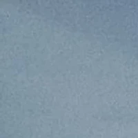 Petite Easy Care Cotton Shirt