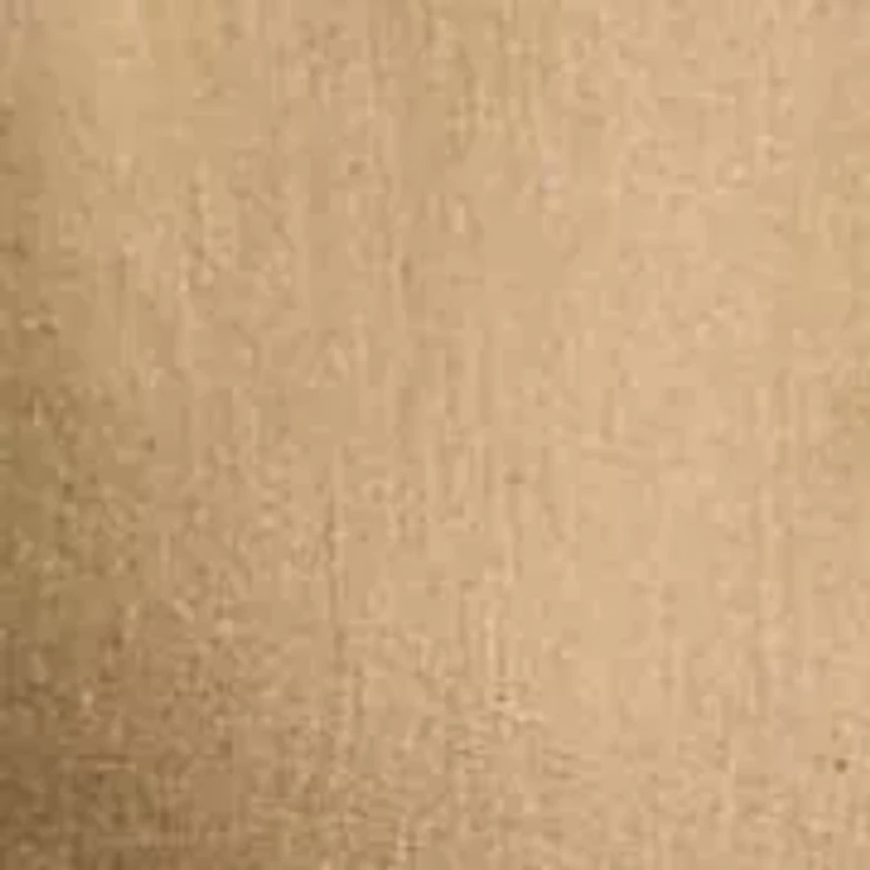 Petite Linen Roll Tab Sleeve Shirt