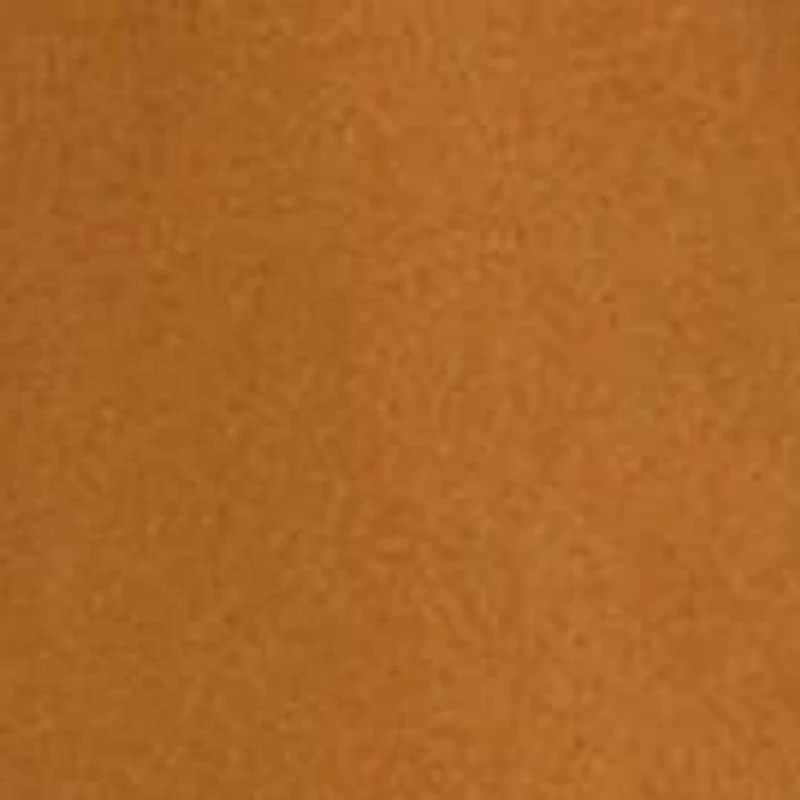 Women's Long Sleeve Wovens Shirt