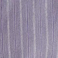 Women's Classic Fit Striped Broadcloth Shirt