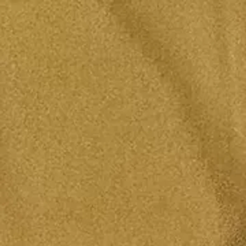 Women's Classic Fit Metallic Chiffon Shirt