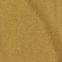 Women's Classic Fit Metallic Chiffon Shirt