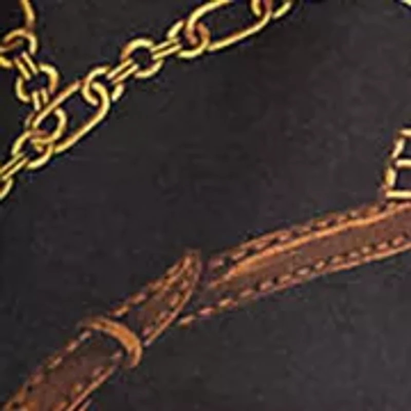 Classic Fit Belting-Print Satin Shirt