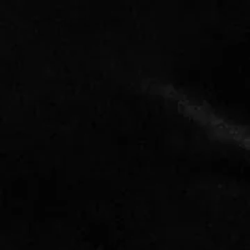 Velvet High-Rise Flare Pants