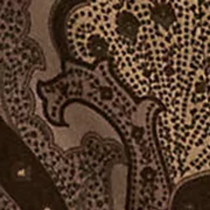 Women's Slim Fit Paisley Jersey Shirt