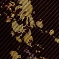 Women's Floral Burnout Velvet Tiered Maxiskirt