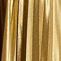 Women's Pleated Metallic Chiffon Skirt