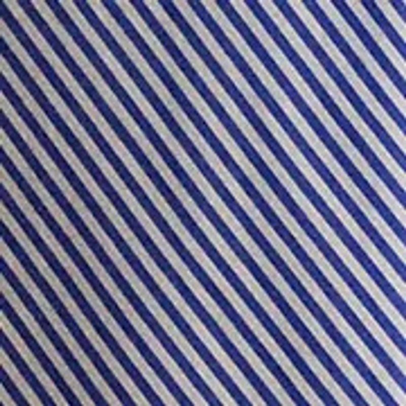 Women's Striped Paneled Cotton Broadcloth Skirt