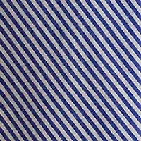 Women's Striped Paneled Cotton Broadcloth Skirt