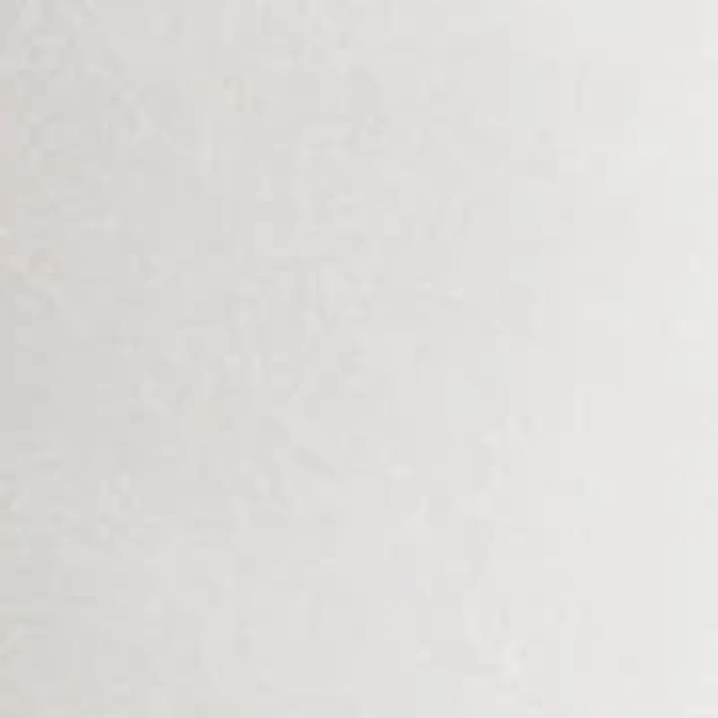 Petite Cutoff Denim Shorts