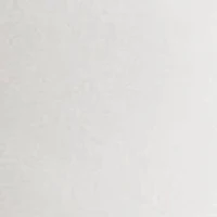 Petite Cutoff Denim Shorts