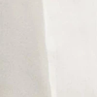 Petite Linen Blend Twill Ankle Pants