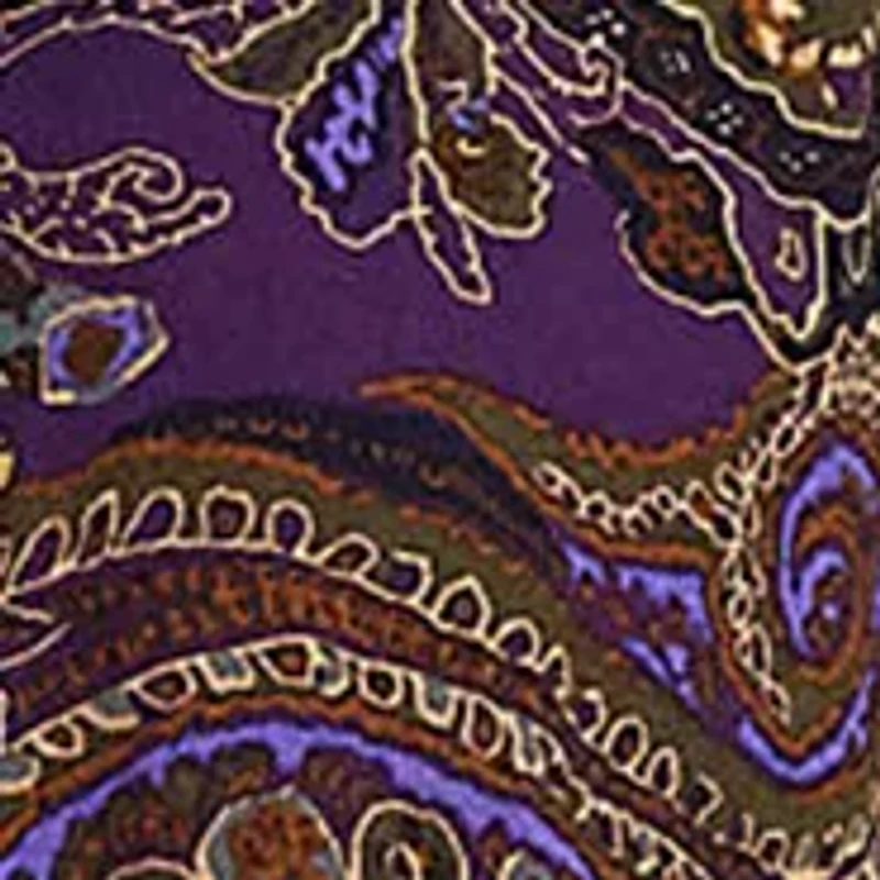 Petite Paisley Ruffle Trim Georgette Shirt
