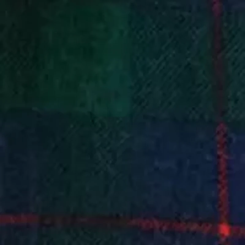 Petite Black Watch Plaid Beaded-Crest Sweater