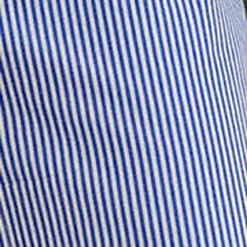 Petites Striped Belted Broadcloth Shirtdress