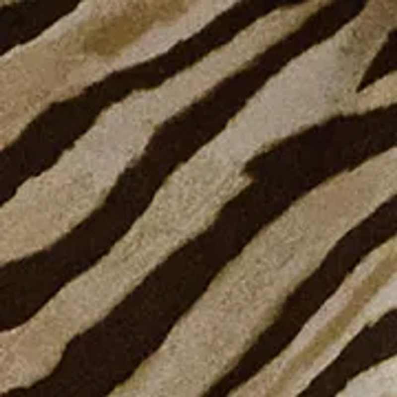Petite Zebra-Print Tie-Front Crepe Shirtdress