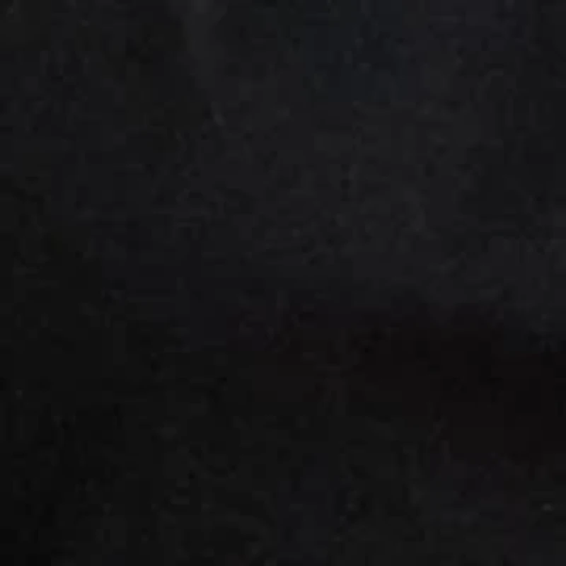 Petite Classic Fit Logo Cotton-Blend Shirt