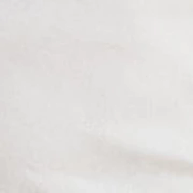 Petite Classic Fit Logo Cotton-Blend Shirt