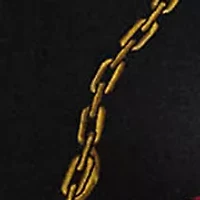 Petite Print Stretch Cotton Boatneck Top