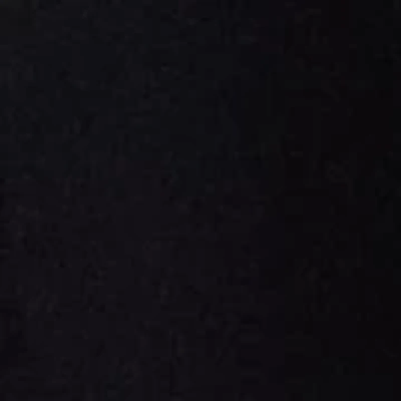 Petite Stretch Cotton Chino Flare Pants