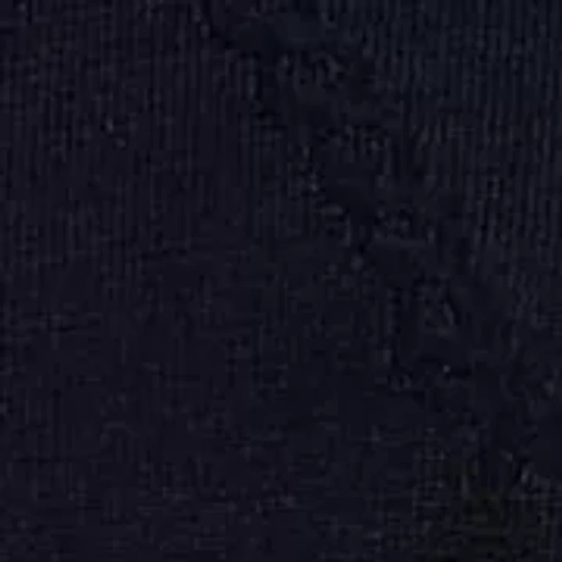 Petite Belting-Motif Short-Sleeve Sweater