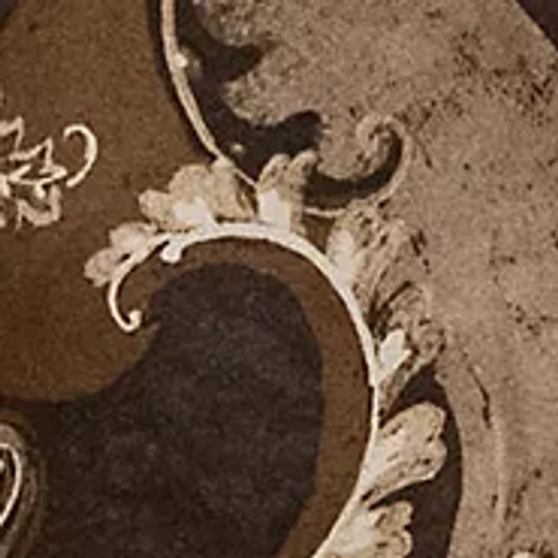 Plus Paisley Twill Shirtdress