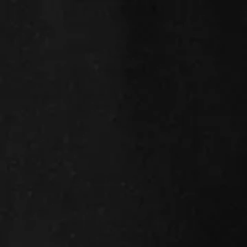 Women's Brushed French Terry Joggers