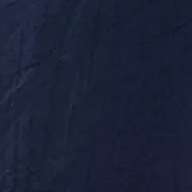 Plus Short Puff Sleeve Slub Woven Blouse