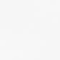 Petite Criss Cross Neckline Solid Jersey Top