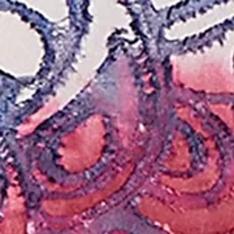 Plus Tie Dye Floral Jacquard Top