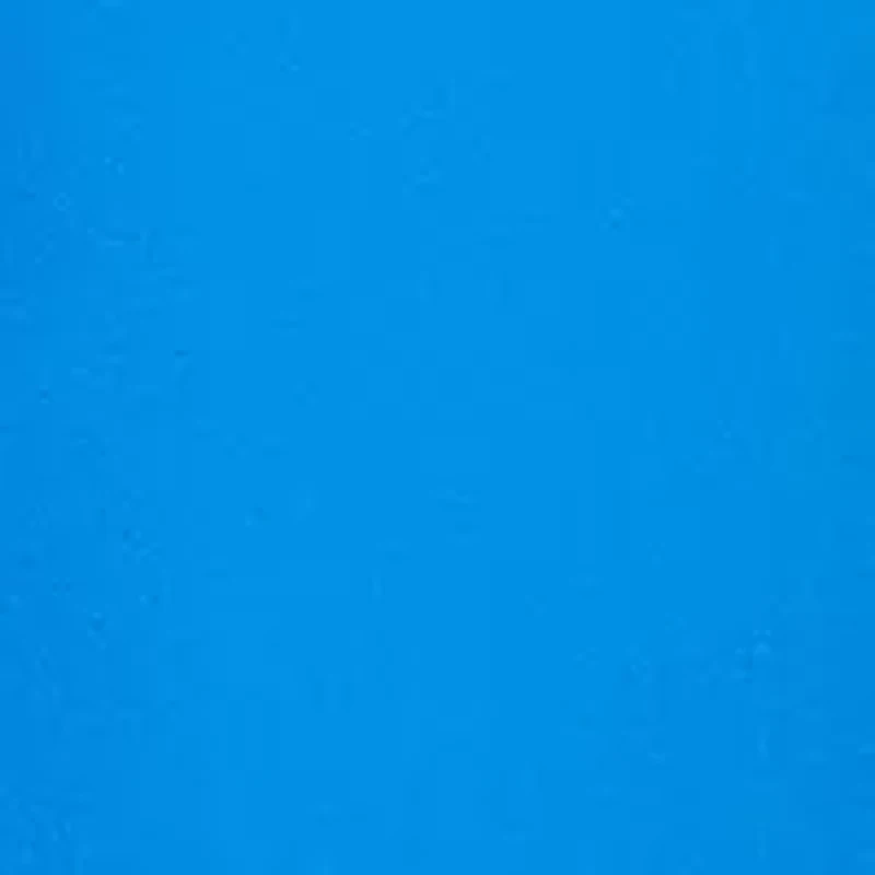 Petite Embroidered Blooms Ankle Pants