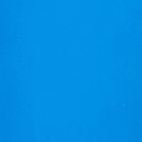 Petite Embroidered Blooms Ankle Pants