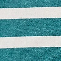 Petite Crew Neck Stripe Hatchi Knit Top
