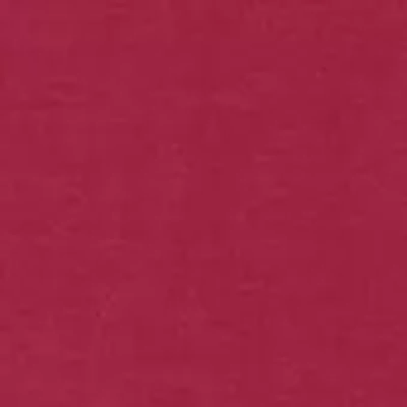 Petite Micro Bead Chain Embellished Stretch Knit Solid Top