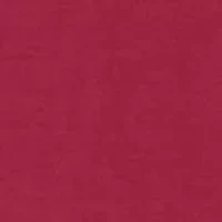 Petite Micro Bead Chain Embellished Stretch Knit Solid Top