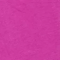 Petite Eyelet Solid Knit Top