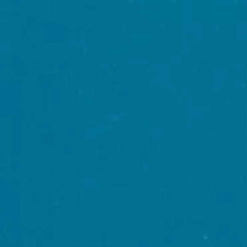 Petite Micro Bead Chain Stretch Solid Top