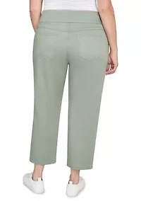 Plus Soft Denim Faux Pocket Jeans