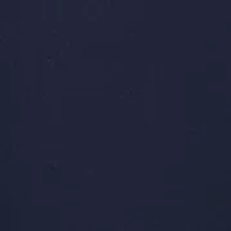 Petite Soft Denim Faux Pocket Jeans