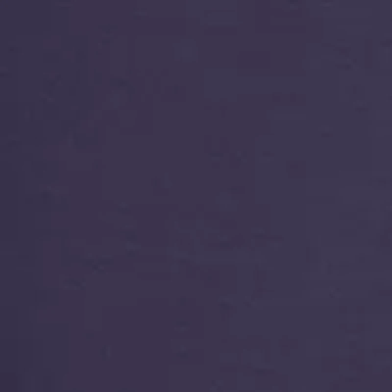 Women's Solid Scuba Knit Pleated Pants