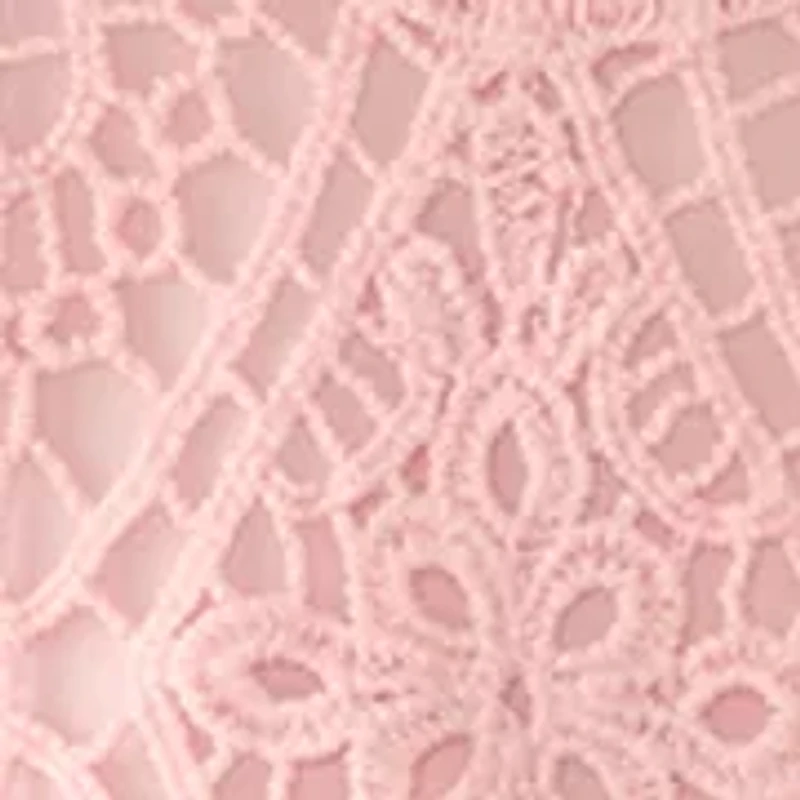 Petite Chemical Lace Pullover Sweater