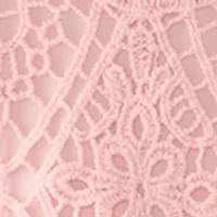 Petite Chemical Lace Pullover Sweater