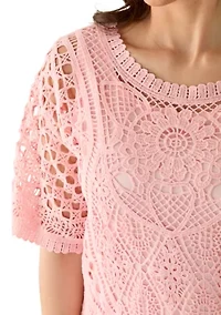 Petite Chemical Lace Pullover Sweater