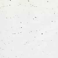 Women's Ultra Soft Knit Cuffed Ankle Pants