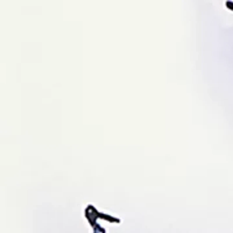 Plus Coastal Sketch Cotton Top