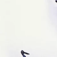 Plus Coastal Sketch Cotton Top